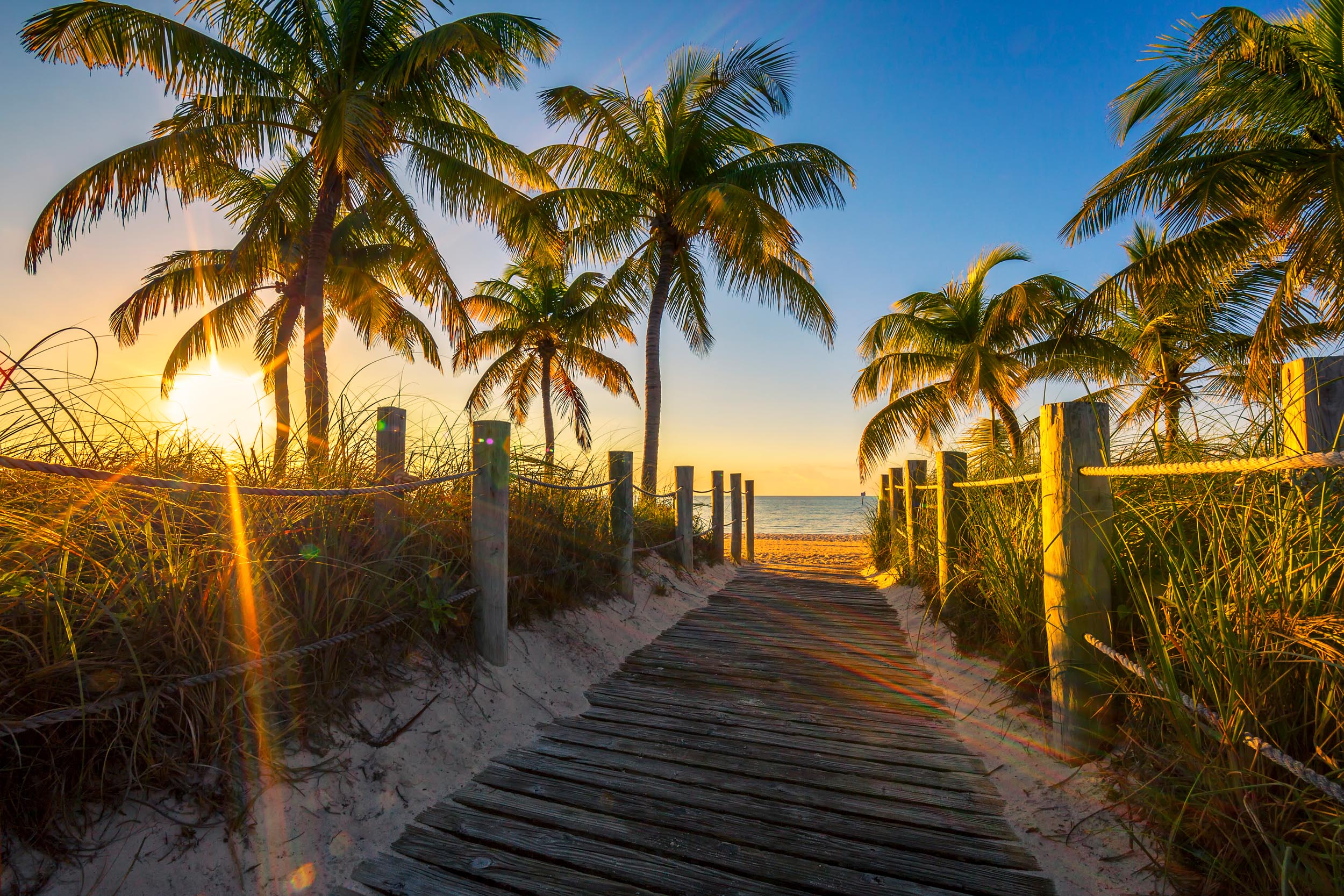 Tropical vacation destination